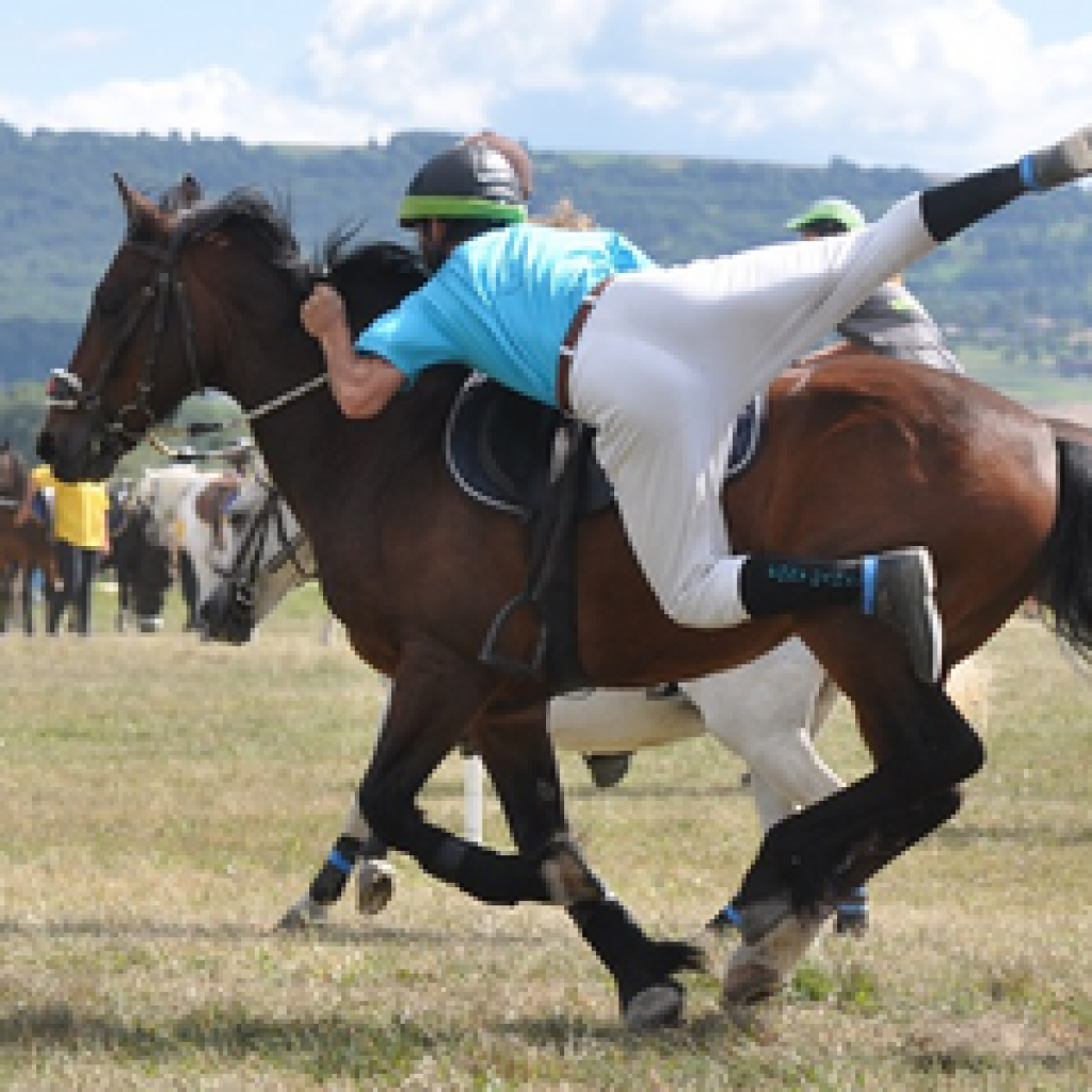 csm_2012-08-26_4._lauf_laconnex_238_bae290997c csm_2012-08-26_4._lauf_laconnex_238_bae290997c
