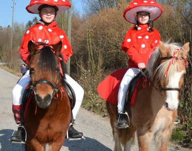 Fasnachtsreiten 2018